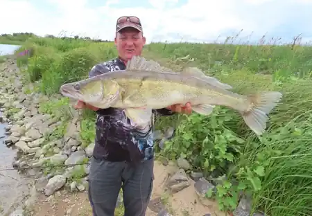 Sebastian mit Zander beim Zanderguiding an der Elbe
