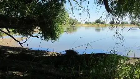 Blick auf die Elbe aus einem Baumversteck